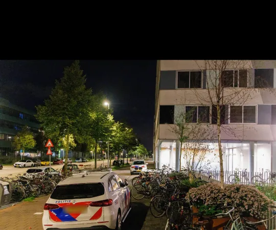 Volledig-scherm fotoweergave vanuit een nieuwsbericht